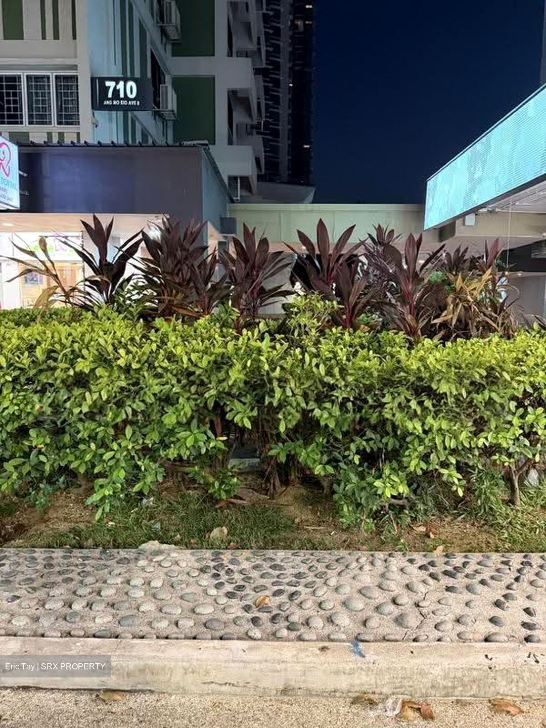 Toa Payoh Central (D12), Shop House #612399651